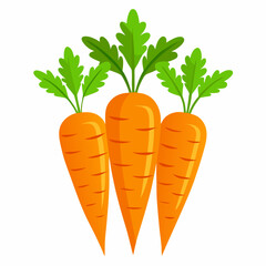 carrot Fruit isolated vector