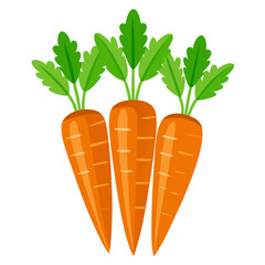 carrot Fruit isolated vector