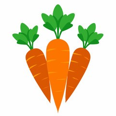 carrot Fruit isolated vector