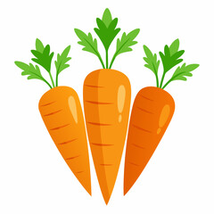 carrot Fruit isolated vector