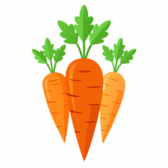 carrot Fruit isolated vector