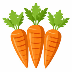 carrot Fruit isolated vector