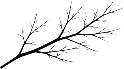 Fototapeta premium Branch Silhouette with Twigs on Transparent Background