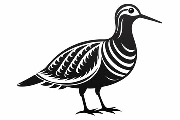 american woodcock sihouette black vector