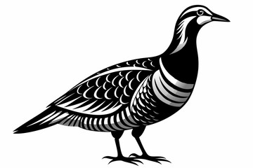 american woodcock sihouette black vector