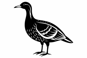 american woodcock sihouette black vector