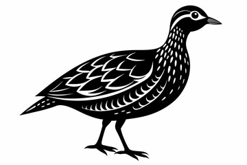 american woodcock sihouette black vector