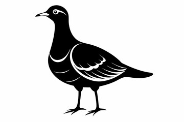 american woodcock sihouette black vector