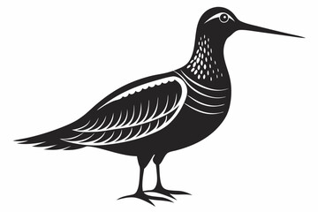 american woodcock sihouette black vector