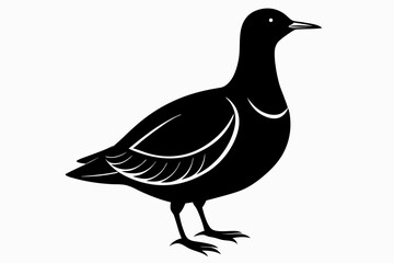 american woodcock sihouette black vector