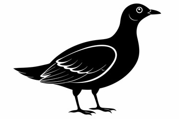 american woodcock sihouette black vector
