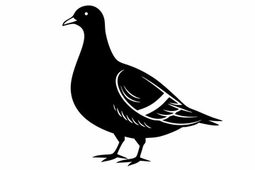 american woodcock sihouette black vector