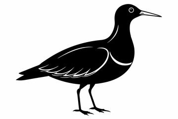 Obraz premium american woodcock sihouette black vector