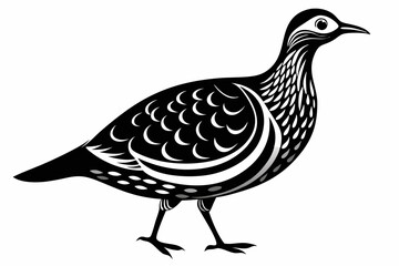 american woodcock sihouette black vector