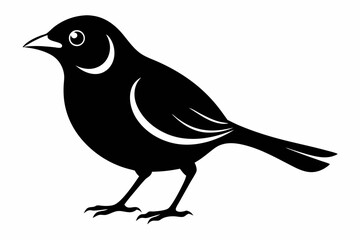 Obraz premium white bell bird silhouette black vector