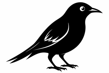 Fototapeta premium white bell bird silhouette black vector