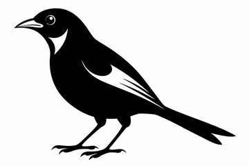 white bell bird silhouette black vector