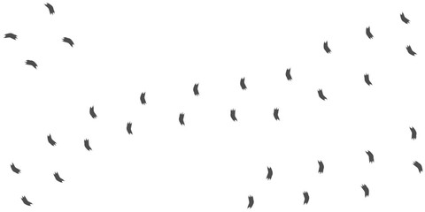 Footprints of Chameleon, Traces of a Reptilia on white background. Chameleon silhouette animal tracks. Paw Print. Vector illustration. EPS10.