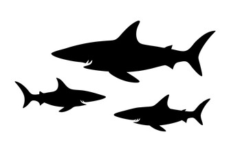 different shark silhouette vector isolated on white background
