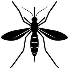 mosquito silhouette isolated on white background