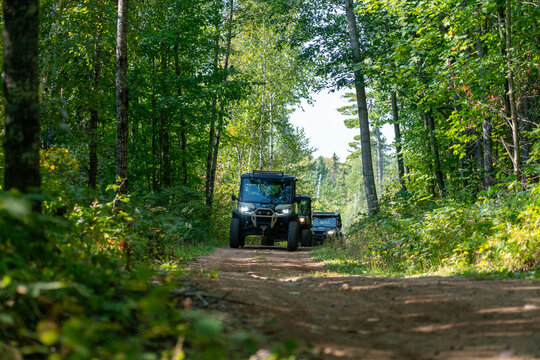 ATV, riding on trail through wooded scenery, north woods all terrain vehicle, UTV