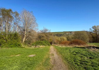 A dirt path winds through a grassy field flanked by trees, under a clear blue sky. In the distance, a hill gently rises, adding depth to the tranquil landscape in, Beechwood Park, Illingworth, UK