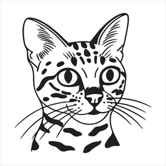 Bengal Cat – Wild Patterns with a Gentle Heart