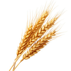 Golden Wheat Stalks on Black Background,