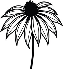 Coneflower silhouette vector illustration 