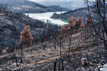 Charred Hills Above Marathon Lake After Wildfire