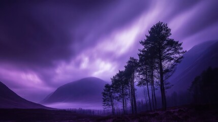 Fototapeta premium Mysterious Purple Sky Over Silhouette Trees in a Remote Valley