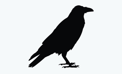 Raven bird silhouette vector, black crow icon, standing raven illustration, spooky bird shape, Halloween animal graphic