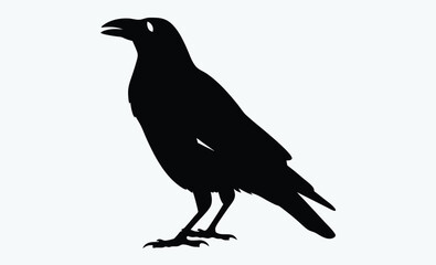 Raven bird silhouette vector, black crow icon, standing raven illustration, spooky bird shape, Halloween animal graphic