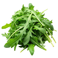 Fresh green arugula leaves isolated on a Transparent Background, showcasing their crisp and vibrant texture