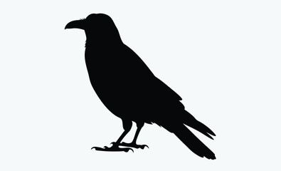 Raven bird silhouette vector, black crow icon, standing raven illustration, spooky bird shape, Halloween animal graphic