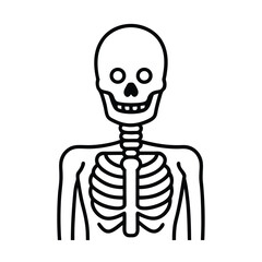 human skeleton line art on white background (1).eps