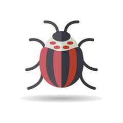 Colorado beetle vector isolated icon