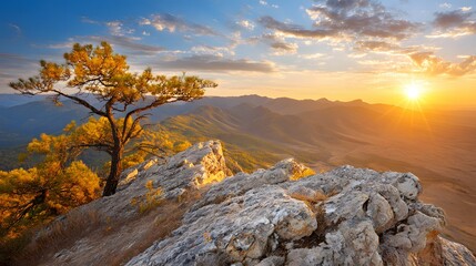 A tree on rocks overlooks mountains during a vibrant sunset with cloudy sky.