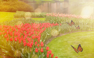 Fototapety na wymiar - Fototapeta24.pl