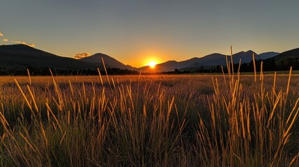 Obraz premium A beautiful golden sunset over fields and distant mountains