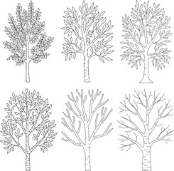 Obraz premium A collection of Tree vector illustration isolated On Transparent Background