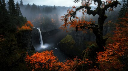 A majestic waterfall cascading through a forested and foggy canyon