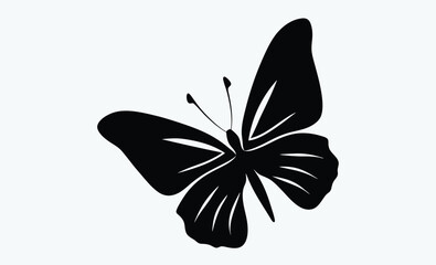 Butterfly Silhouette vector on white background