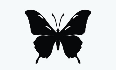 Butterfly Silhouette vector on white background