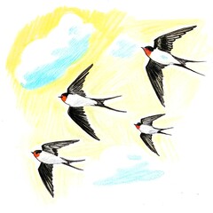 Naklejka premium birds in the sky