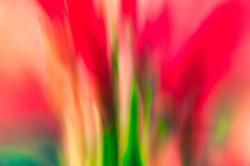 abstract colorful background with flowers