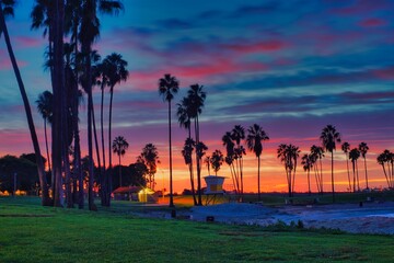 sunset at the beach with palm trees