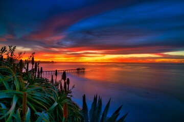 sunset over a pier with aloe flowers