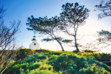 lighthouse on a hill