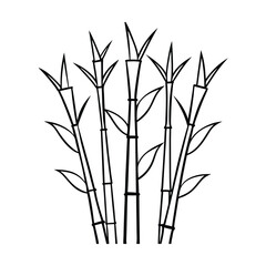 bamboo stalks line art on white background.eps